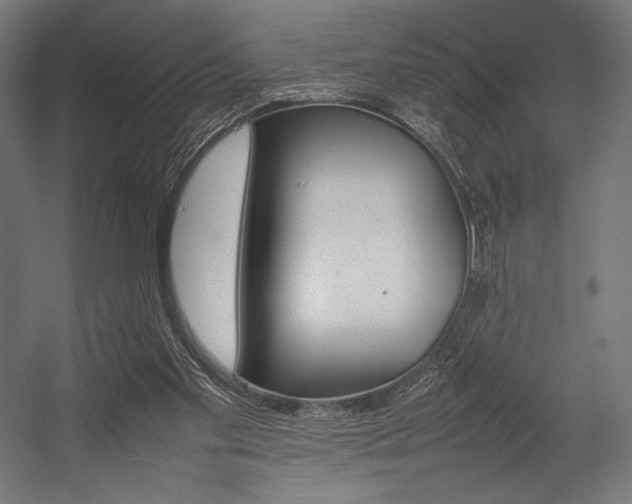 X0000054430109200507291002