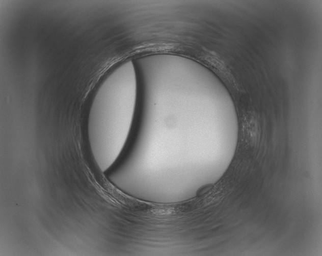 X0000054430110200507291002