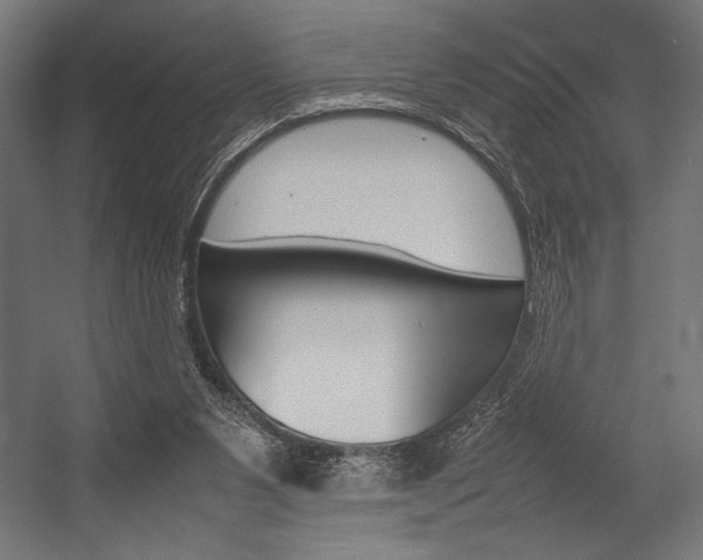 X0000054430111200507291002