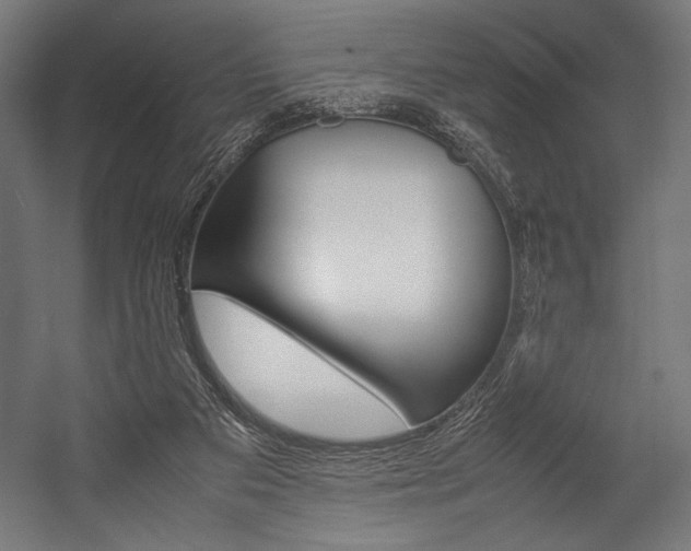 X0000054430113200507291002