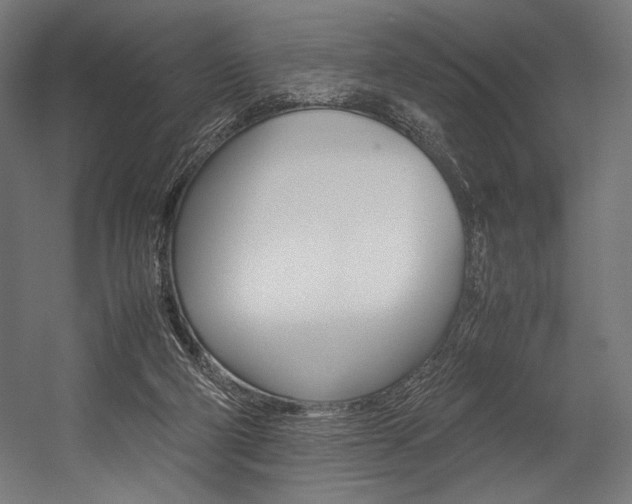 X0000054430114200507291002