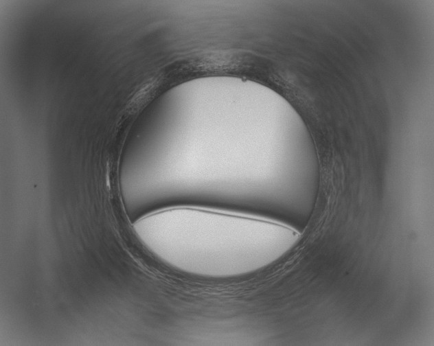 X0000054430115200507291002