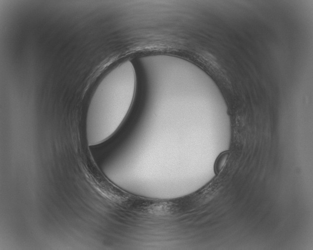 X0000054430116200507291002