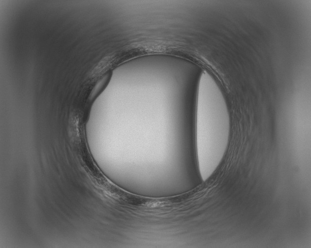 X0000054430117200507291002