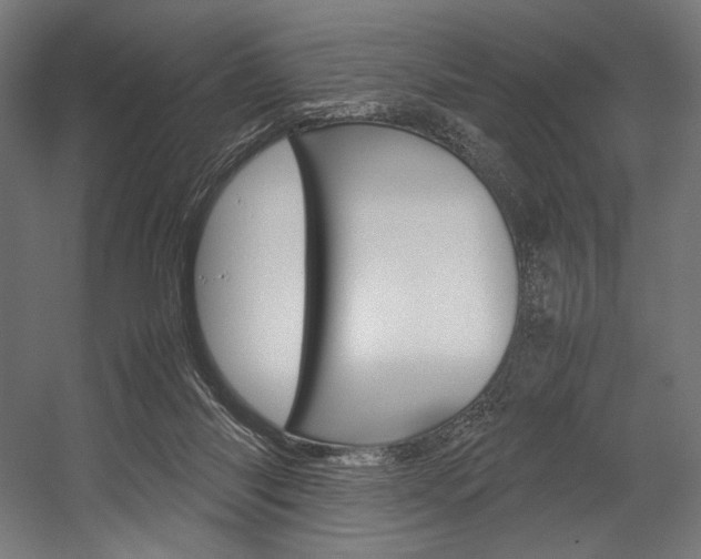 X0000054430118200507291002