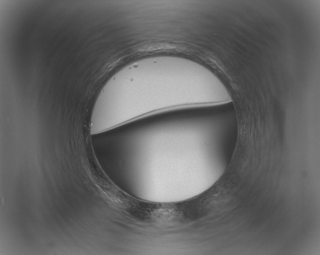 X0000054430119200507291002