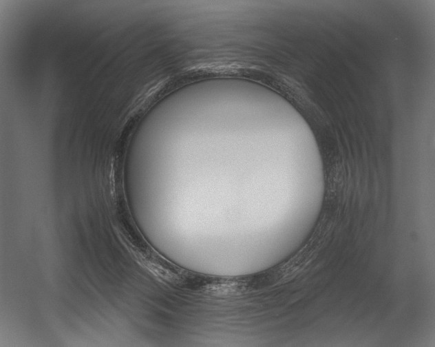 X0000054430120200507291002