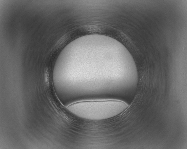 X0000054430124200507291002