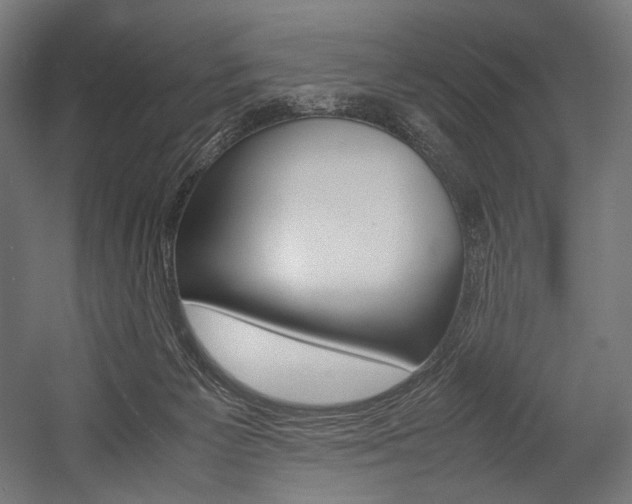 X0000054430125200507291002