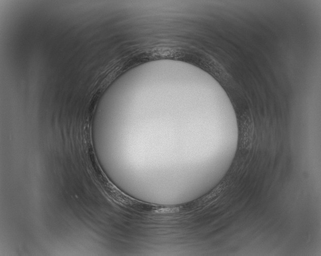 X0000054430126200507291002