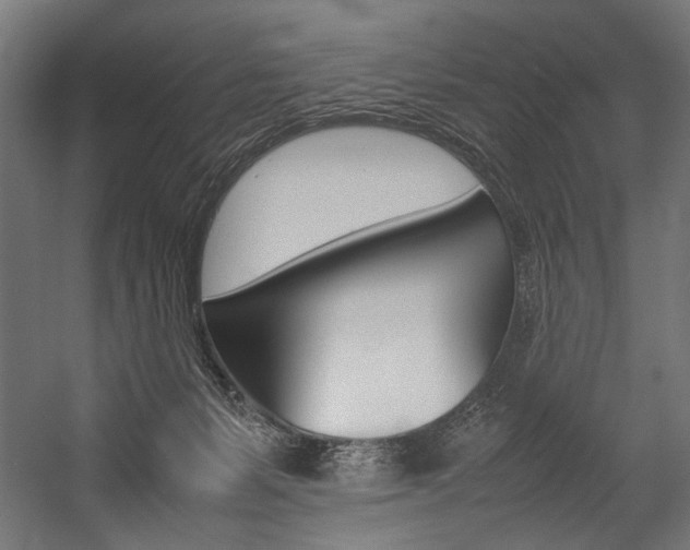 X0000054430127200507291002