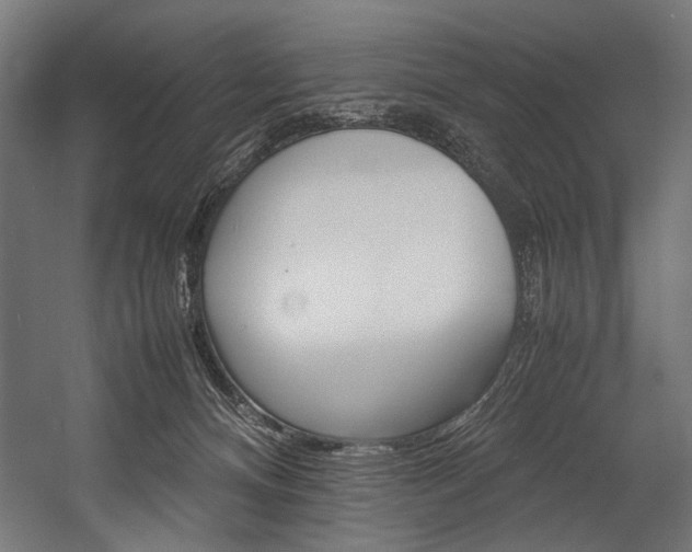 X0000054430128200507291002