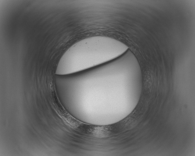 X0000054430130200507291002