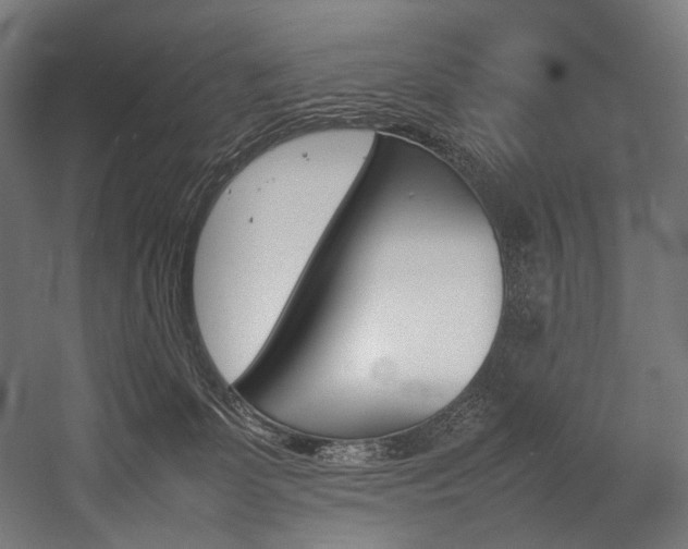 X0000054430131200507291002