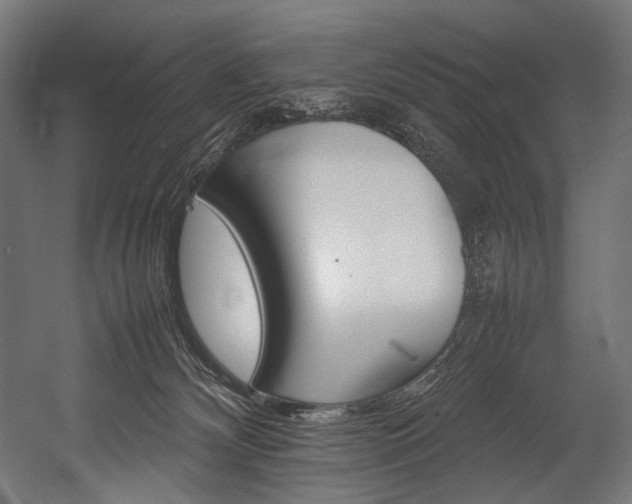 X0000054430132200507291002
