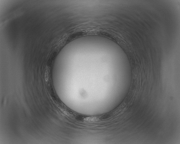 X0000054430133200507291002