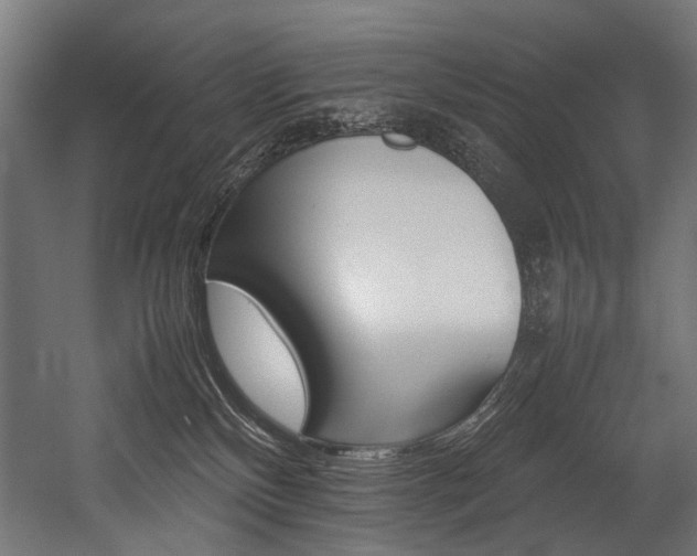 X0000054430136200507291002