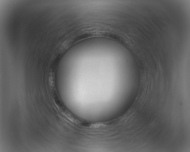 X0000054430137200507291002