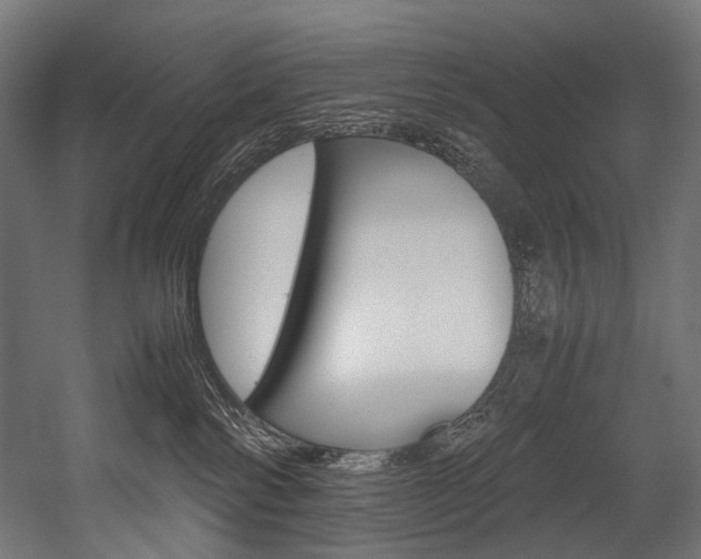 X0000054430138200507291002