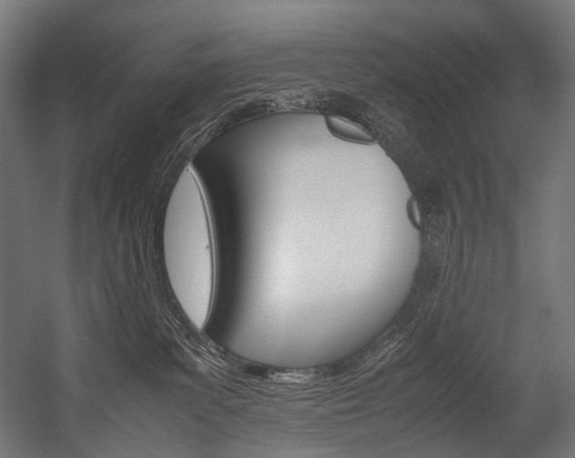 X0000054430139200507291002