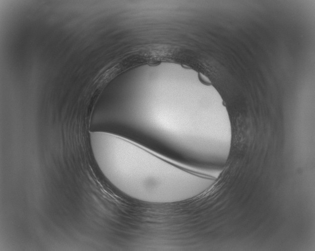 X0000054430140200507291002
