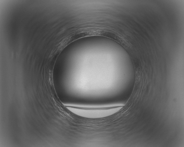 X0000054430141200507291002