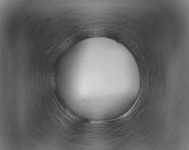 X0000054430144200507291001