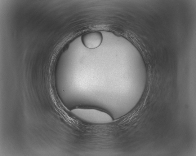 X0000054430145200507291001