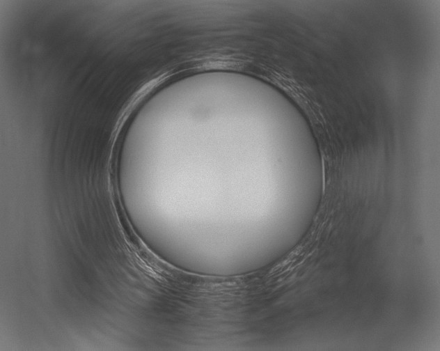 X0000054430147200507291001