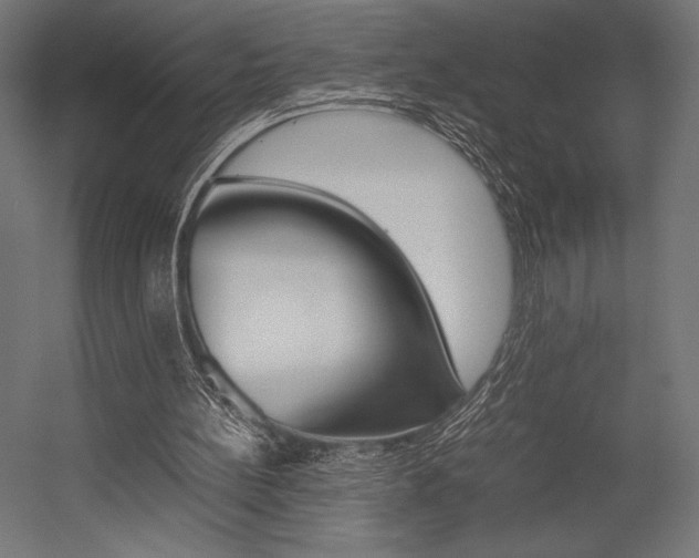 X0000054430148200507291001