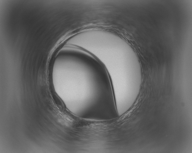 X0000054430150200507291001