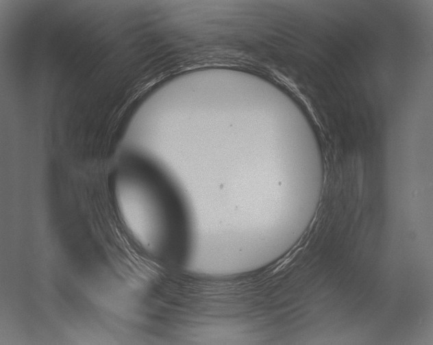 X0000054430154200507291001
