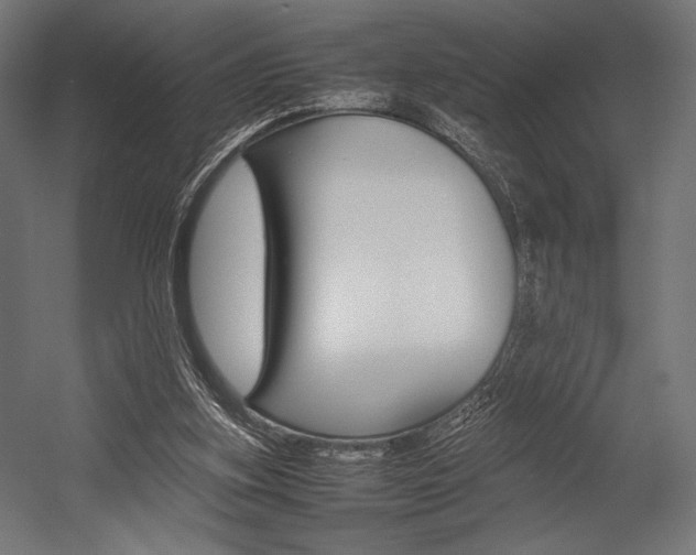 X0000054430155200507291001