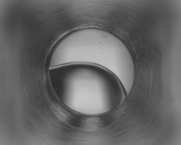 X0000054430156200507291001