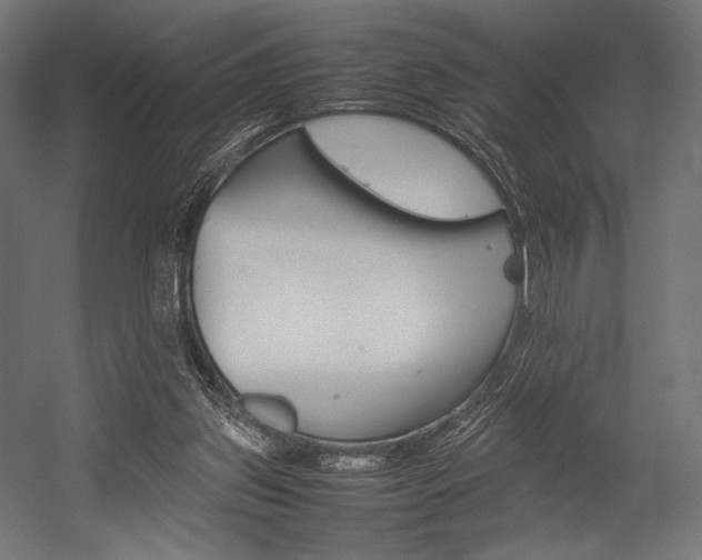 X0000054430157200507291001