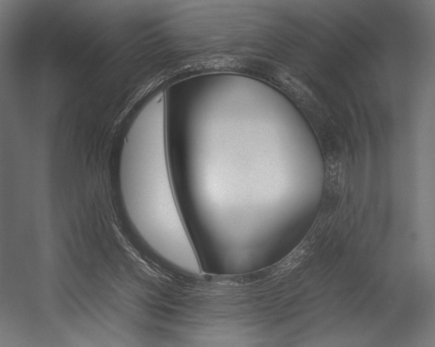 X0000054430158200507291001