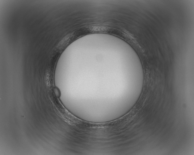 X0000054430161200507291001