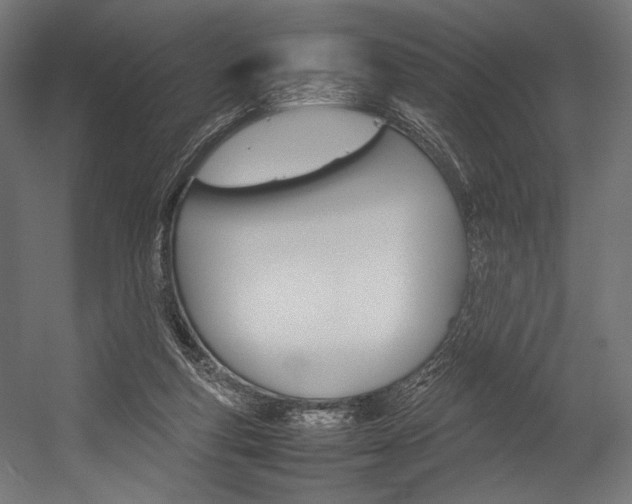 X0000054430163200507291001