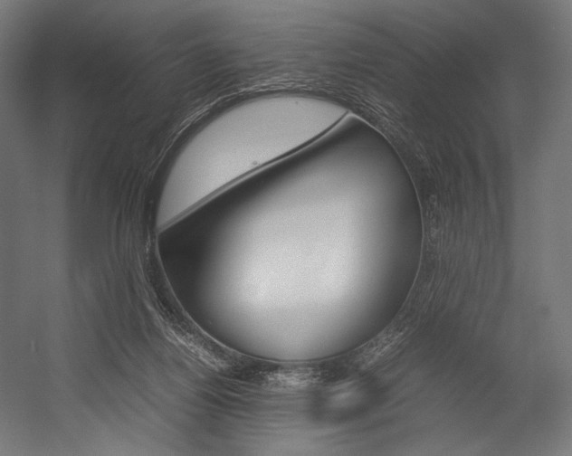 X0000054430164200507291001