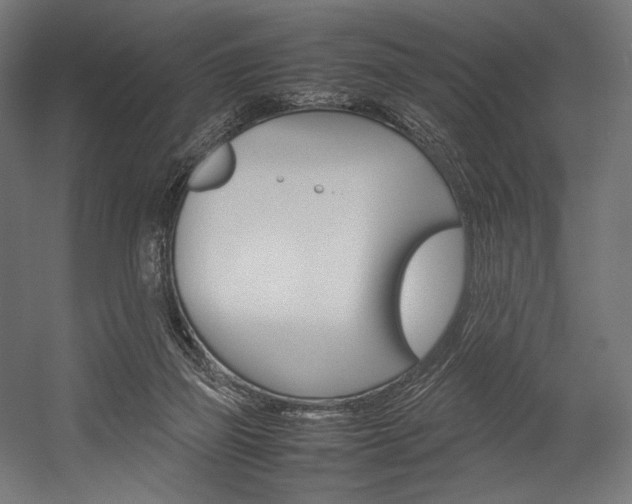 X0000054430165200507291001