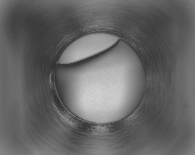 X0000054430166200507291001