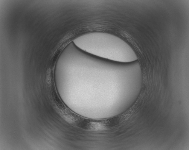 X0000054430167200507291001