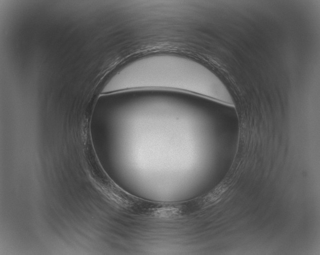 X0000054430168200507291001