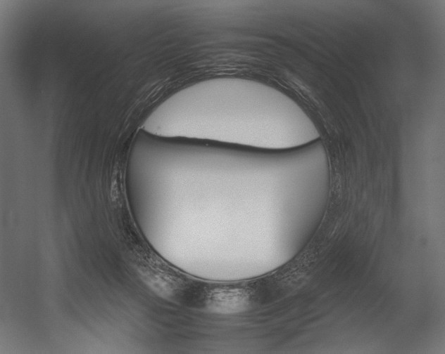 X0000054430169200507291001