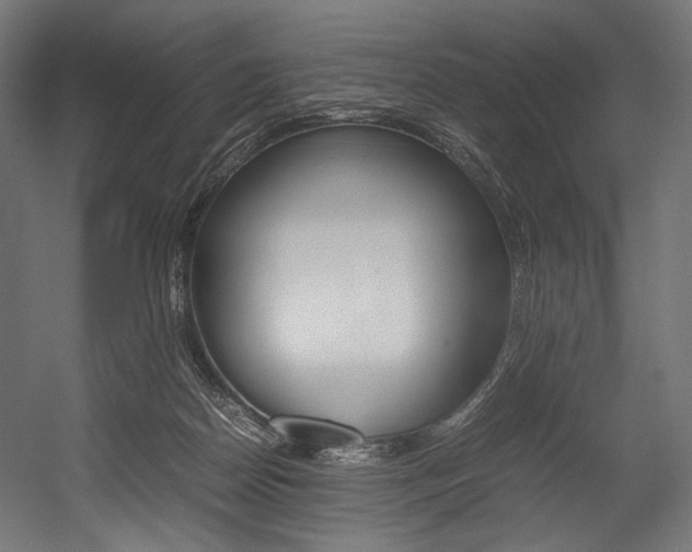 X0000054430170200507291001