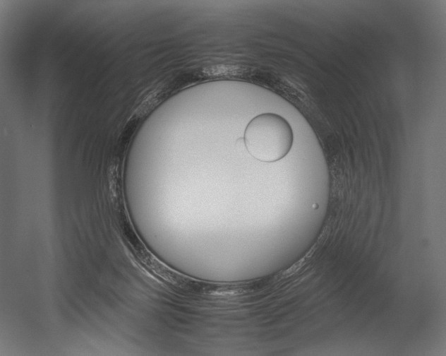 X0000054430171200507291001