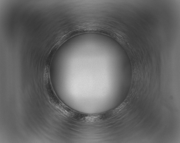 X0000054430172200507291001