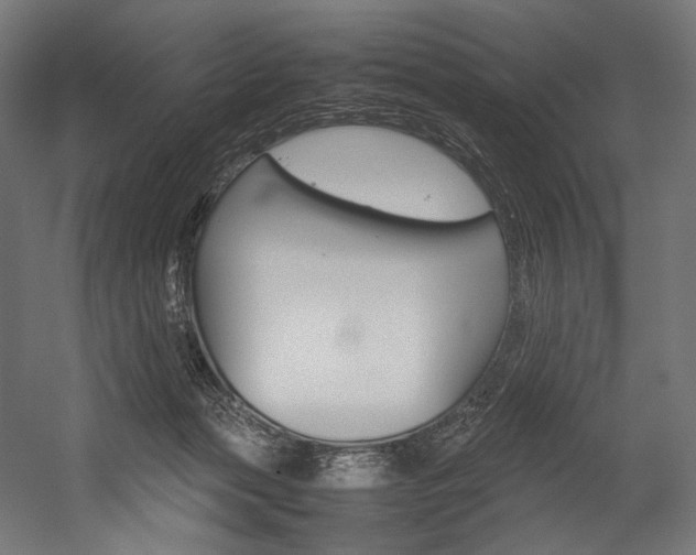X0000054430173200507291001