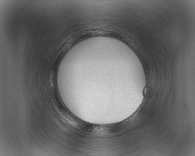 X0000054430174200507291001