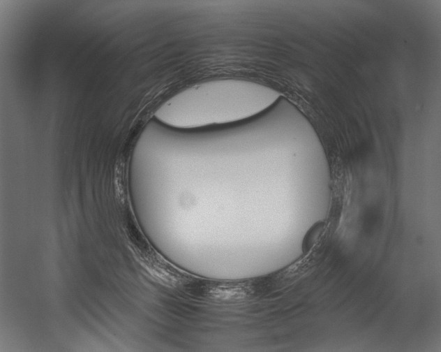 X0000054430175200507291001